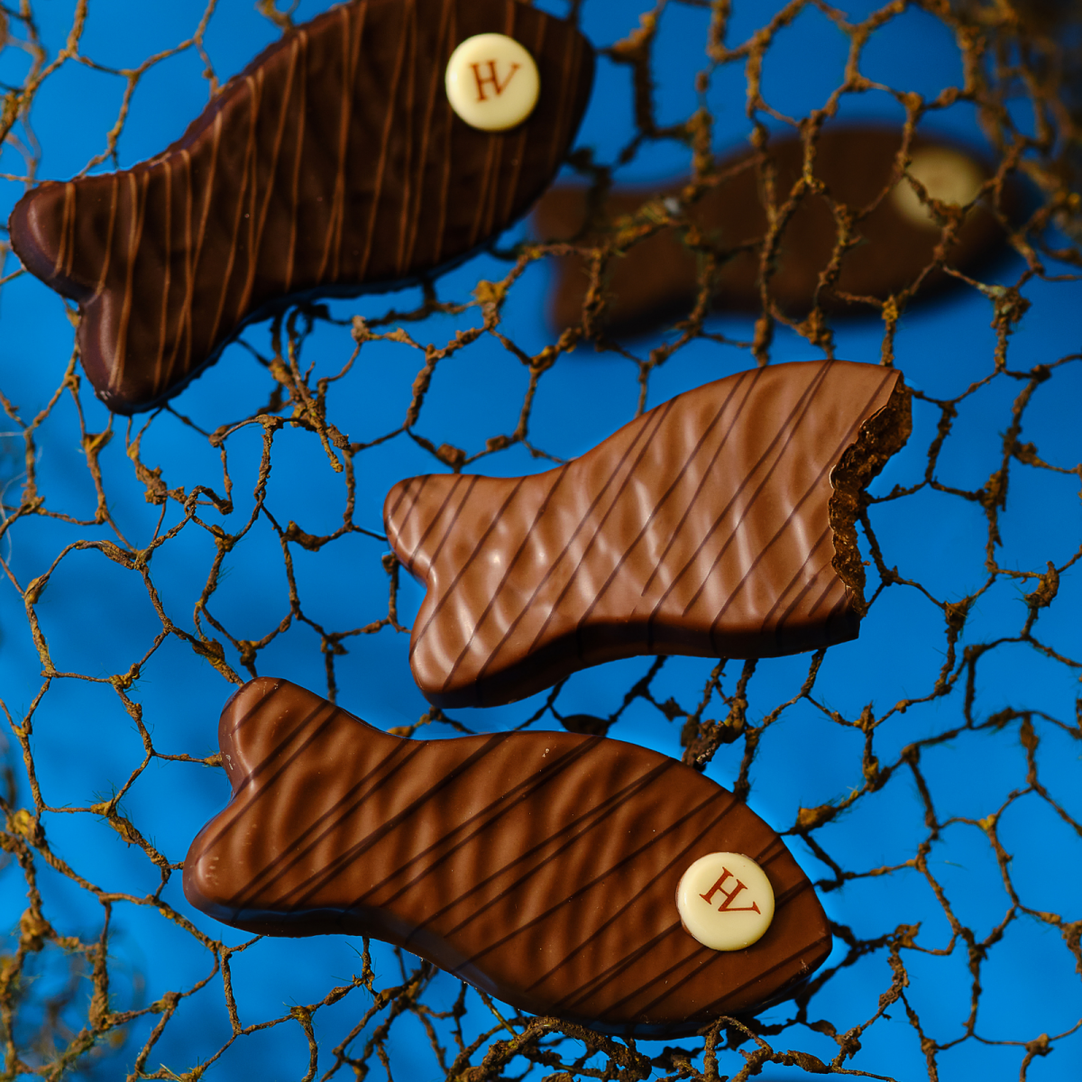 Coquette la Poulette au Chocolat Noir