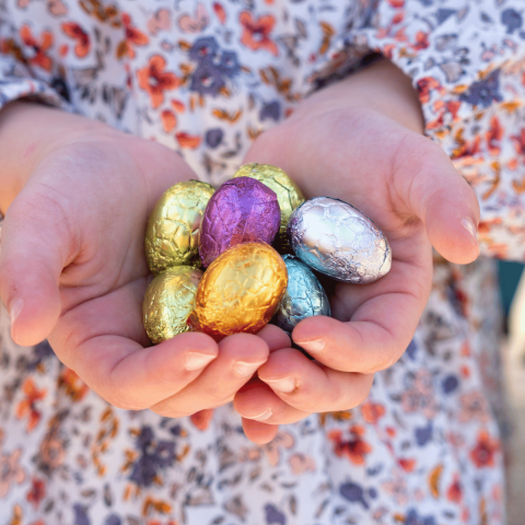 Oeufs pralinés chocolatés colorés