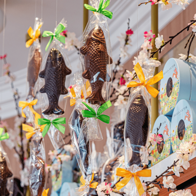 Malo le Poisson Lait | Pâques 2026 | Chocolatier artisanal Paris
