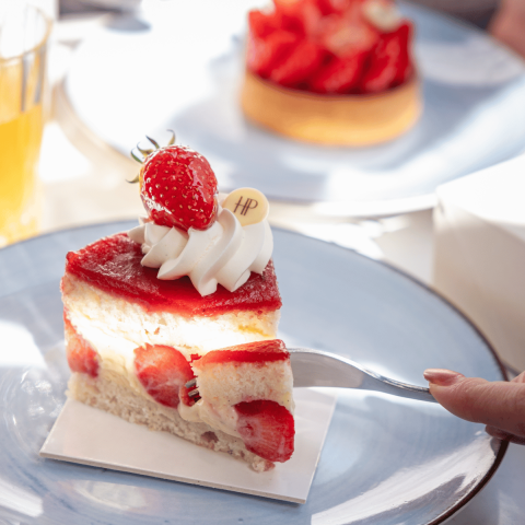 Fraisier